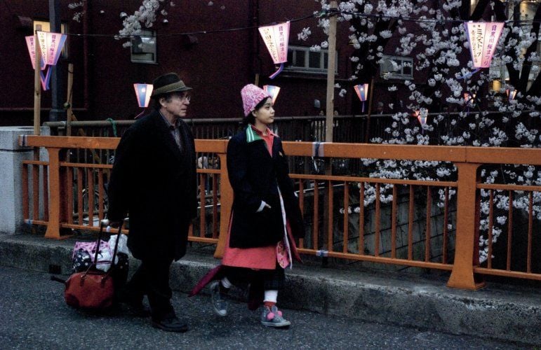 Hanami - Cerejeiras em Flor : Fotos