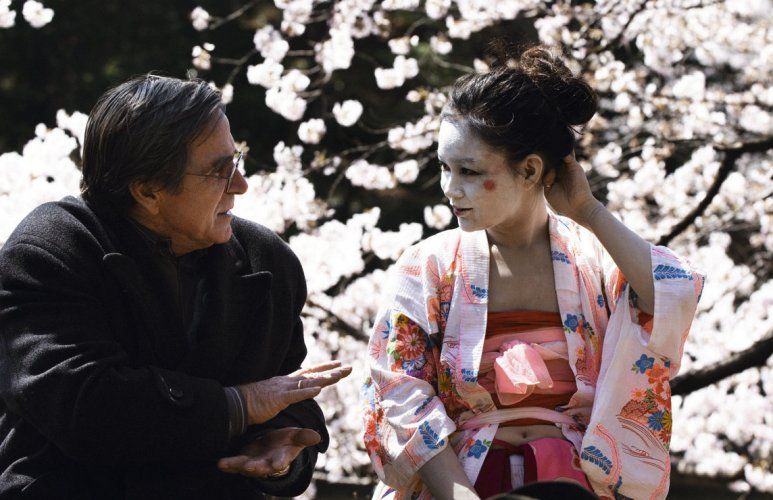 Hanami - Cerejeiras em Flor : Fotos