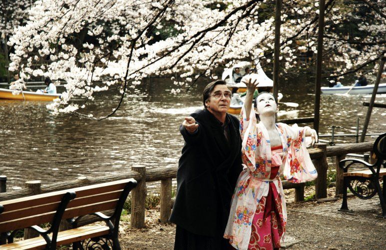 Hanami - Cerejeiras em Flor : Fotos
