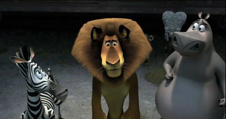 Madagascar 3 - Os Procurados : Fotos