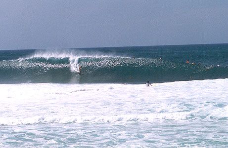Surf Adventures - O Filme : Fotos