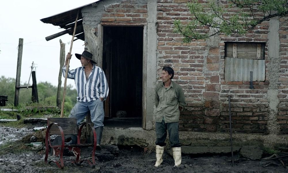 Vivam os Antípodas! : Fotos