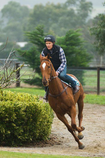 Superando Limites : Fotos Stephen Curry