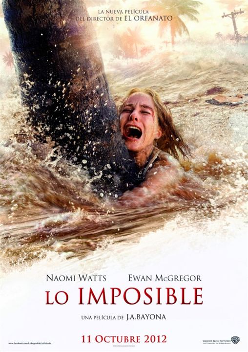 O Impossível : Poster