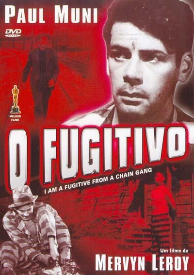 O Fugitivo : Poster