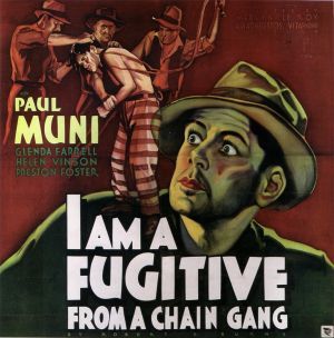 O Fugitivo : Poster