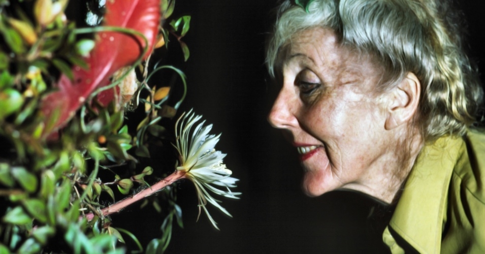 Margaret Mee e a Flor da Lua : Fotos
