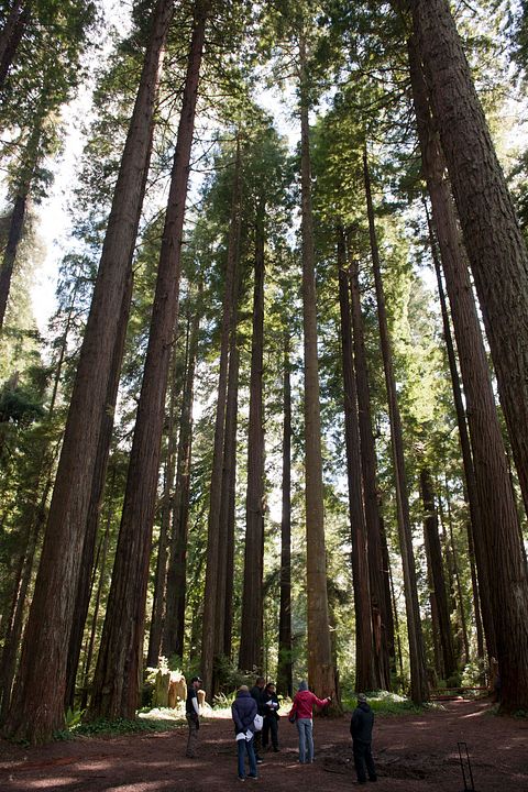 Bigfoot: The Lost Coast Tapes : Fotos