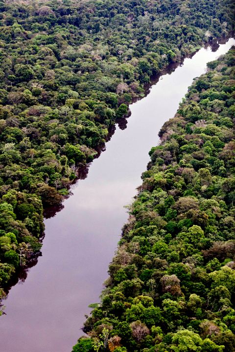 Amazônia Eterna : Fotos