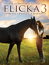 Flicka 3 : Poster