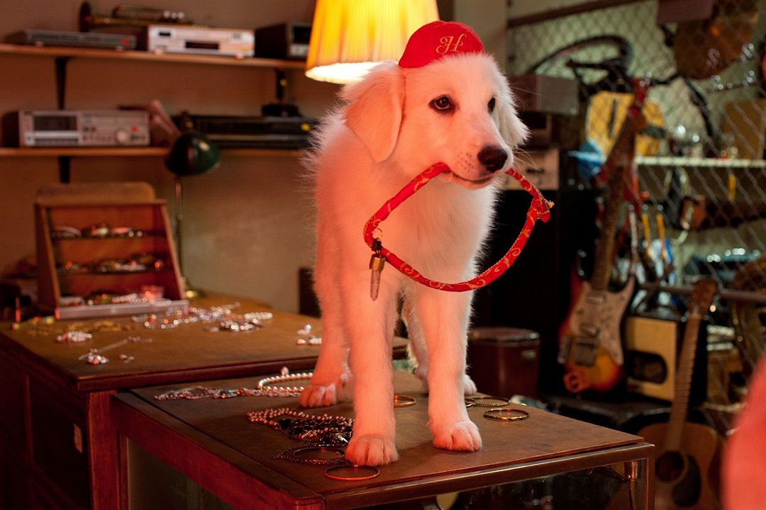 Os Filhotes da Mamãe Noel : Fotos