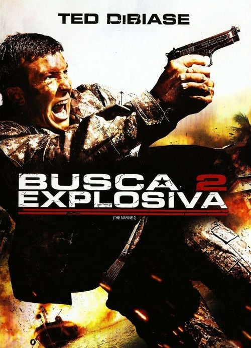 Busca Explosiva 2 : Poster