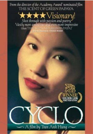 O Ciclo : Poster