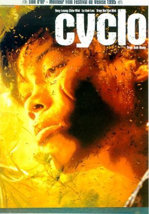 O Ciclo : Poster