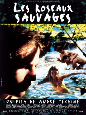 Rosas Selvagens : Poster