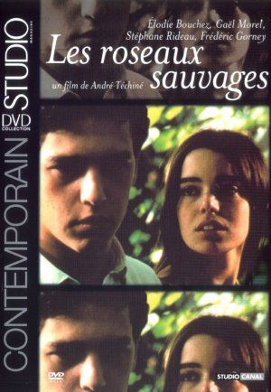 Rosas Selvagens : Poster