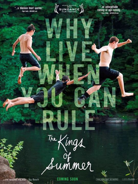 Os Reis do Verão : Poster