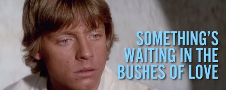 Star Wars - O Despertar da Força: Conheça o ator que substituiu Peter  Mayhew como Chewbacca - Notícias de cinema - AdoroCinema