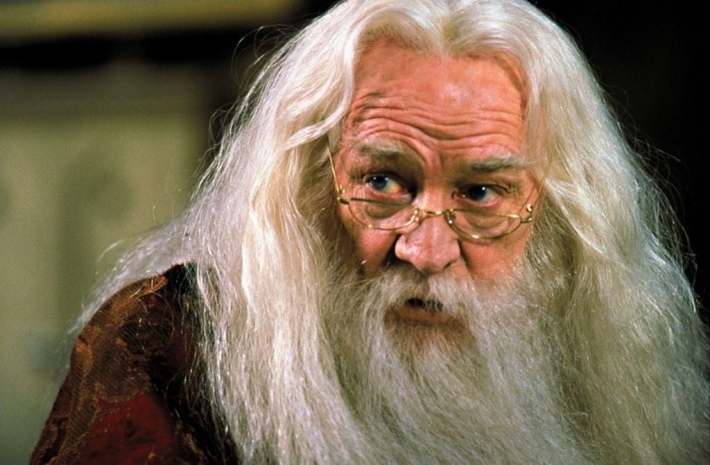6 atores de Harry Potter que foram expulsos de escolas "trouxas