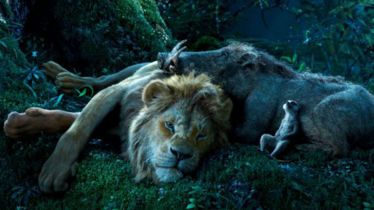 Capa de Caderneta - O Rei Leão - D'Avila Design