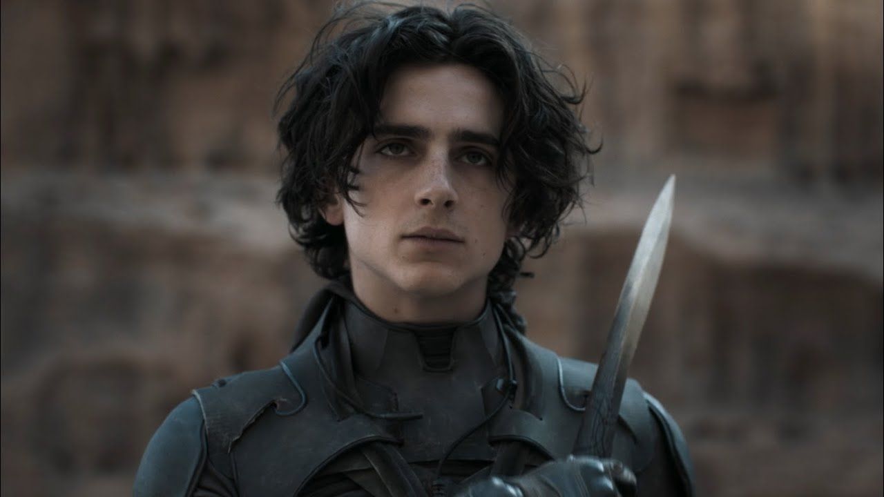 Duna: Timothée Chalamet revela que conseguiu papel no filme "stalkeando" o  diretor - Notícias de cinema - AdoroCinema
