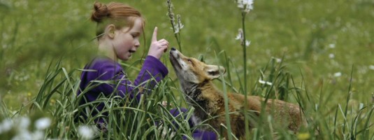 Le renard et l'enfant : Fotos