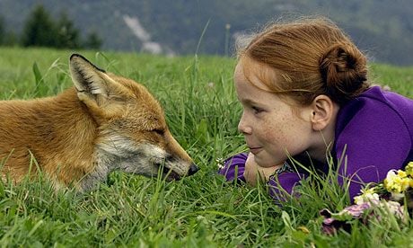 Le renard et l'enfant : Fotos