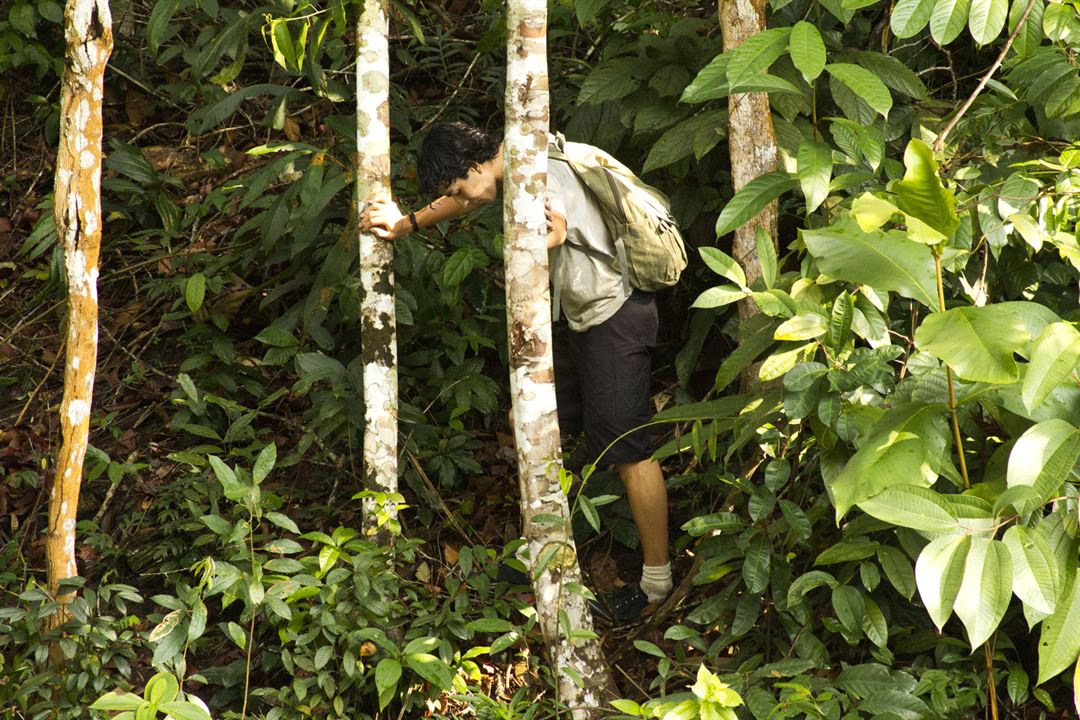 A Floresta de Jonathas : Fotos Begê Muniz