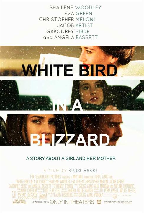 Pássaro Branco na Nevasca : Poster