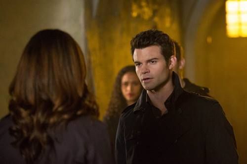 The Originals : Fotos Daniel Gillies