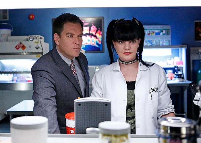 Fotos Pauley Perrette, Michael Weatherly