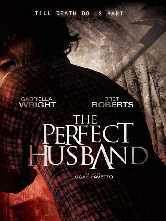 The Perfect Husband : Poster