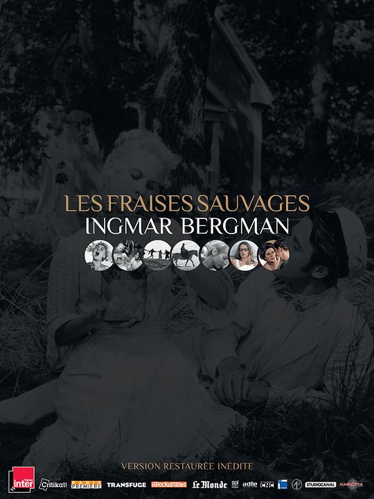 Morangos Silvestres : Poster