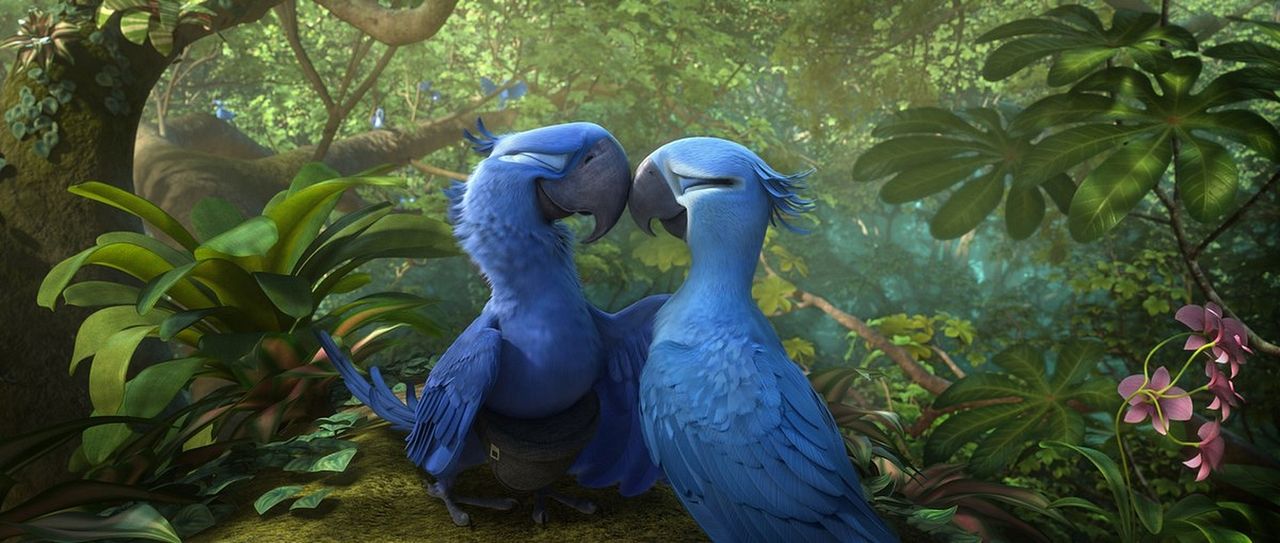 Rio 2 : Fotos