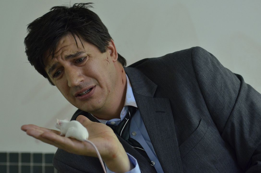 Fotos Ken Marino
