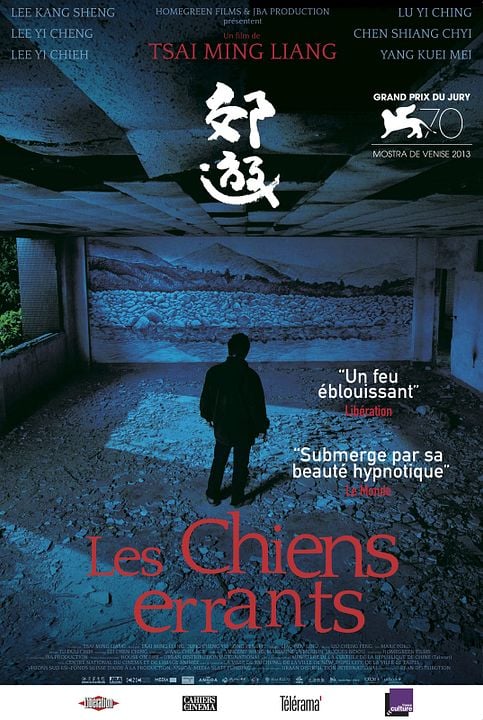 Cães Errantes : Poster