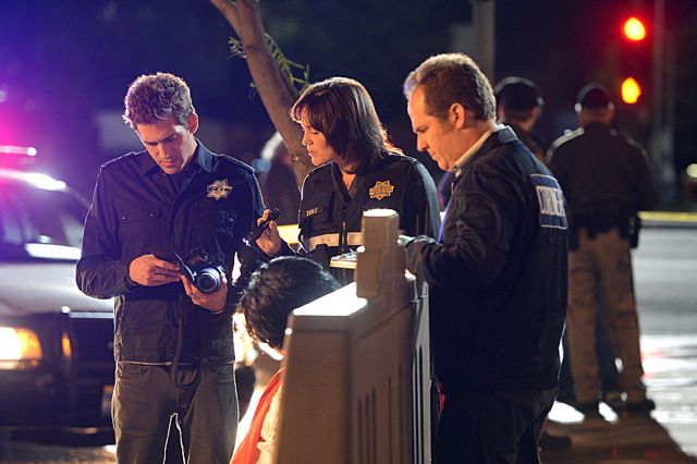 CSI: Crime Scene Investigation : Fotos Jorja Fox, Eric Szmanda, David Berman