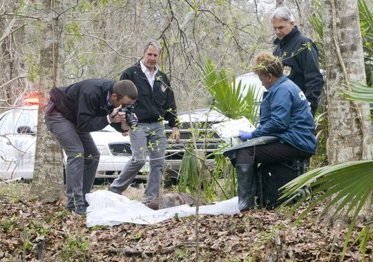 Fotos Scott Bakula, Mark Harmon