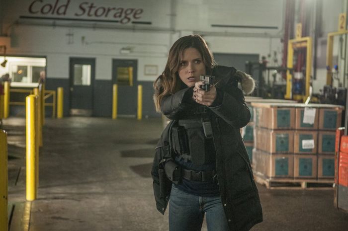 Chicago P.D. Distrito 21 : Fotos Sophia Bush