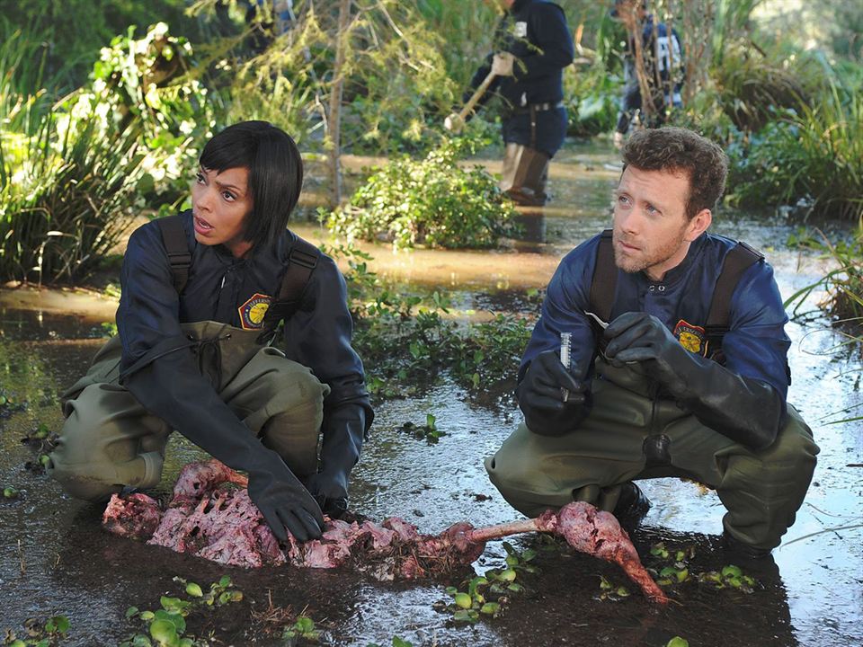 Bones : Fotos T.J. Thyne, Tamara Taylor