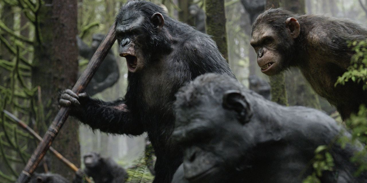 Planeta dos Macacos: O Confronto : Fotos
