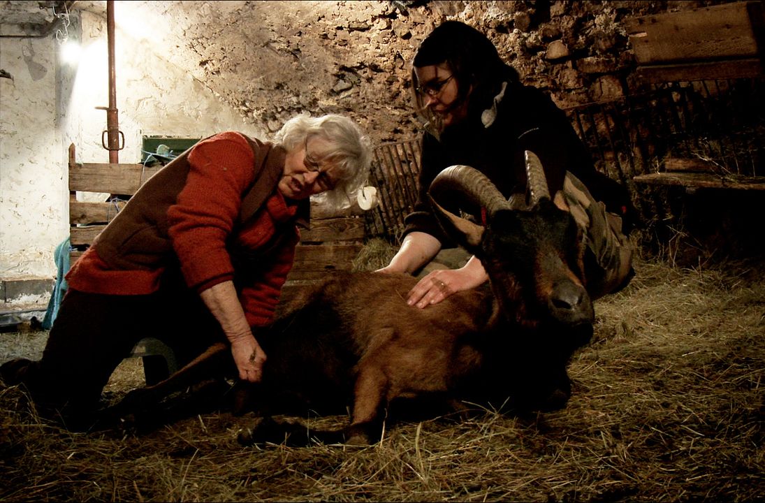 Les Chèvres de ma mère : Fotos