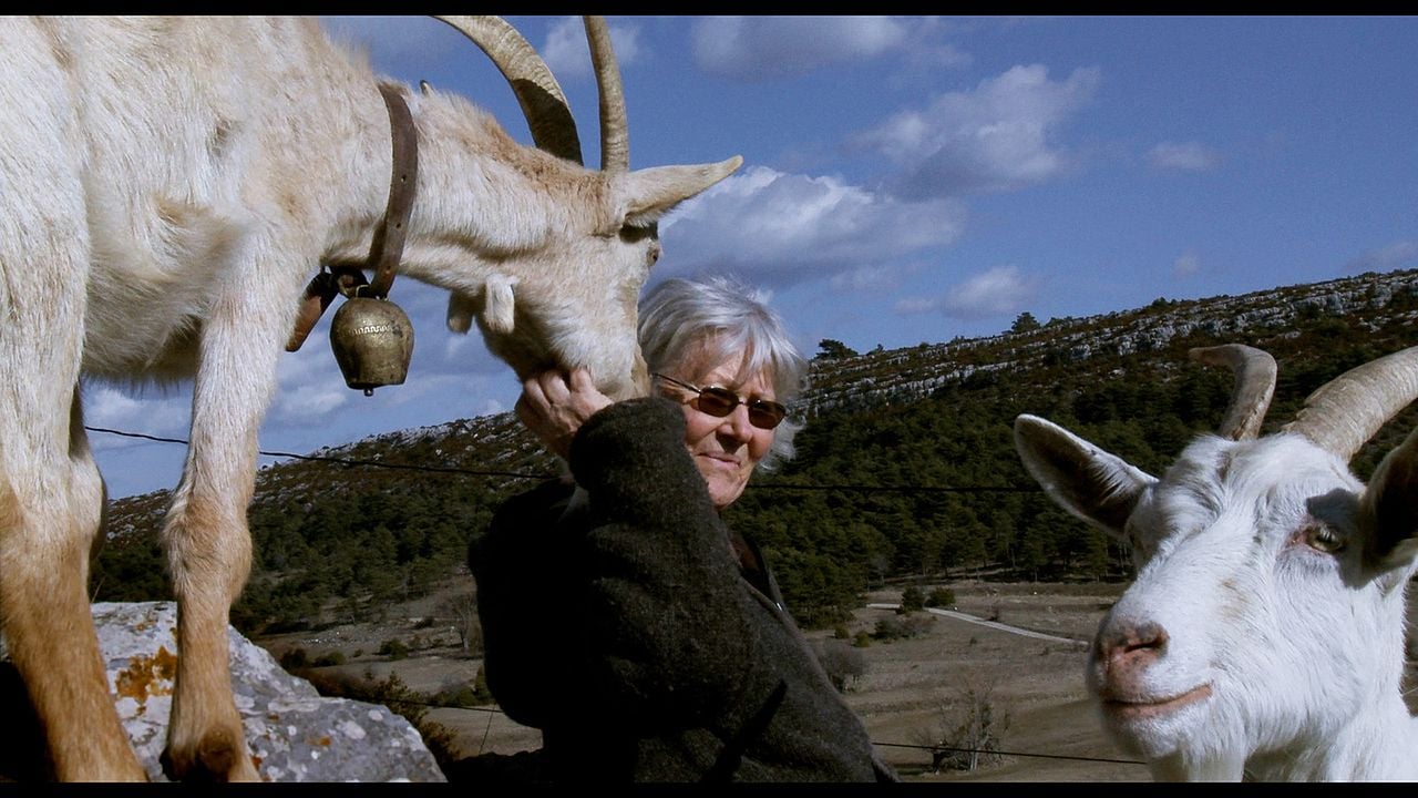 Les Chèvres de ma mère : Fotos