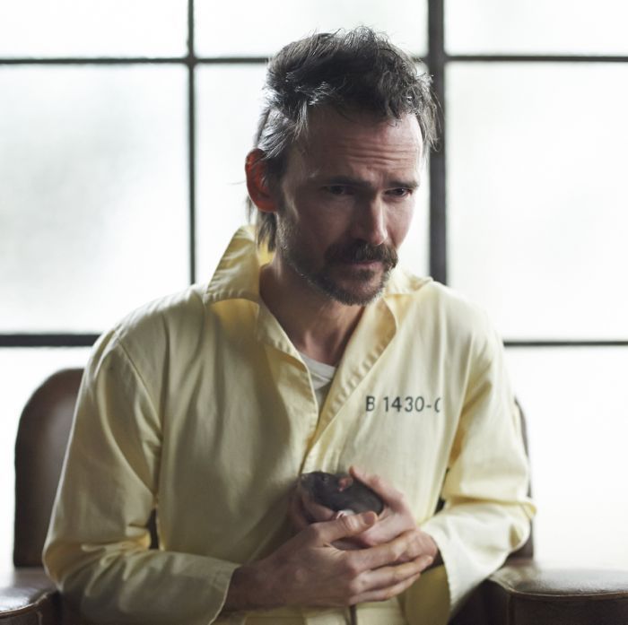 Hannibal : Fotos Jeremy Davies