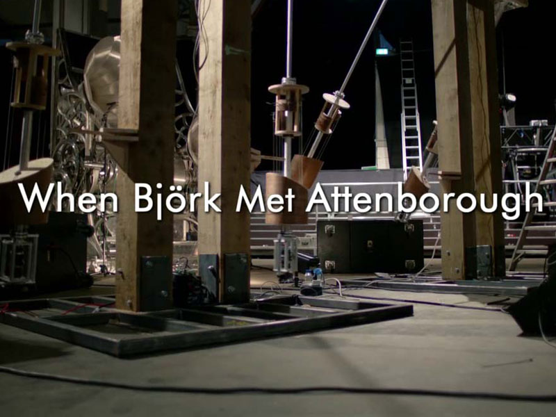 Quando Björk conheceu David Attenborough : Fotos