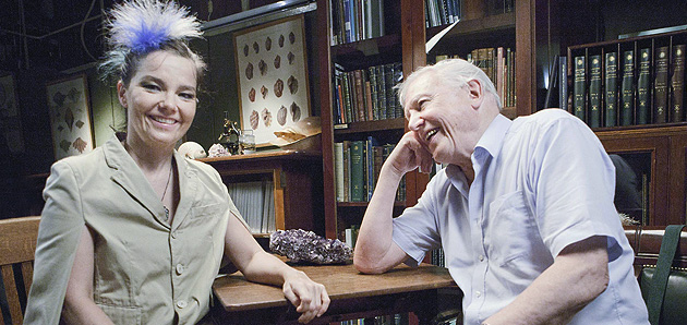 Quando Björk conheceu David Attenborough : Fotos