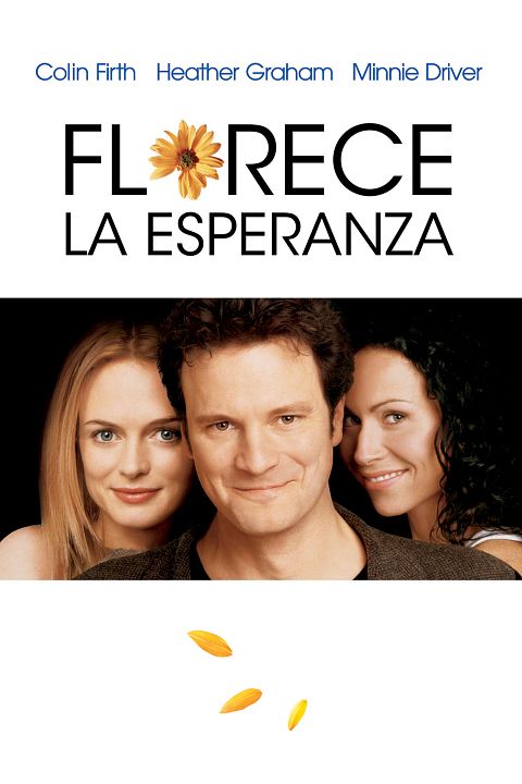 Um Lugar Para Sonhar : Poster