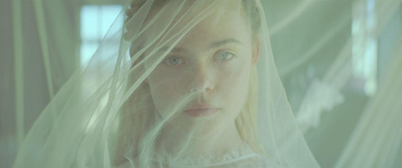 Os Mais Jovens : Fotos Elle Fanning