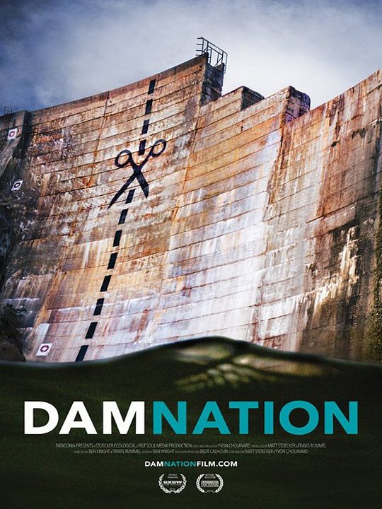 DamNation : Poster