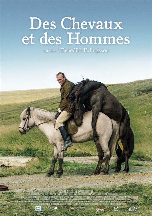 Cavalos e Homens : Poster